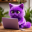 PIPAPUPA